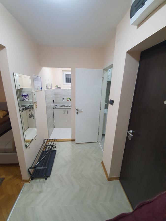 Apartman Dodolu بلغراد المظهر الخارجي الصورة